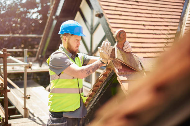 Best Residential Roofing Contractor  in South Lyon, MI
